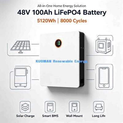 48V Wall Mount Lithium Battery Optional Bluetooth Mobile App Monitor SOC Temperature Data