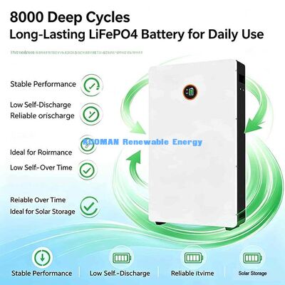 Wieloźródłowe ładowanie LiFePO4 Powerwall 51.2 V 200Ah Generator paneli słonecznych Bateria do ładowania sieci