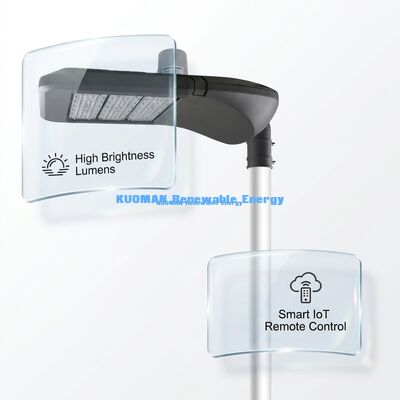 Inteligentna uliczna lampa LED do ogrodu z wodoodpornością IP66, inteligentnym sterowaniem LoRaWAN i żywotnością 100000 godzin do zewnętrznego oświetlenia słonecznego