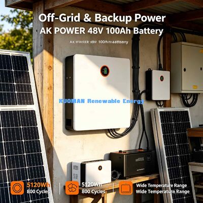 48V 100Ah Wall Mount Lithium Iron Phosphate Battery CE UN38.3 Certified Global Shipping