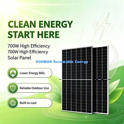 Panel słoneczny 700W monokrystaliczny dwustronny, zasilanie w dzień słoneczny i pochmurny