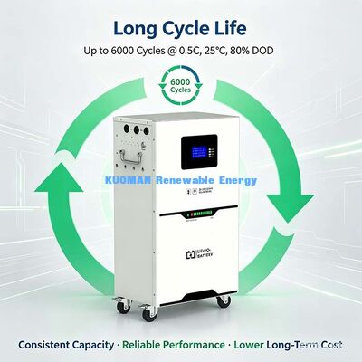5.12kWh 51.2V 100Ah Litium Iron Phosphate Battery do przechowywania energii słonecznej poza siecią